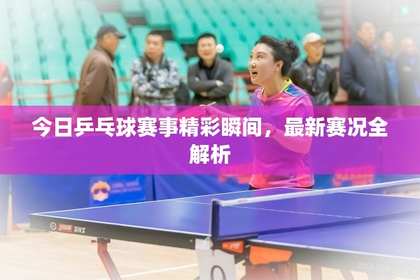 今日乒乓球賽事精彩瞬間,最新賽況全解析