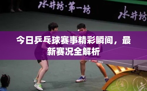 今日乒乓球賽事精彩瞬間,最新賽況全解析