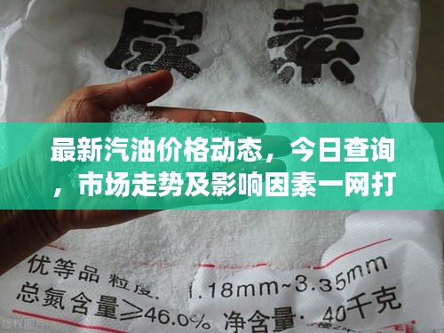 最新汽油價格動態(tài),今日查詢,市場走勢及影響因素一網(wǎng)打盡