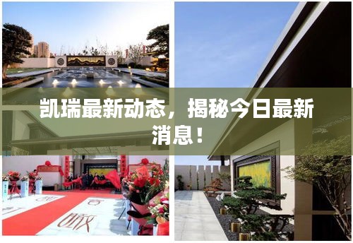 凱瑞最新動態,揭秘今日最新消息!