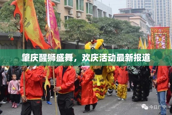 肇慶醒獅盛舞,歡慶活動最新報道