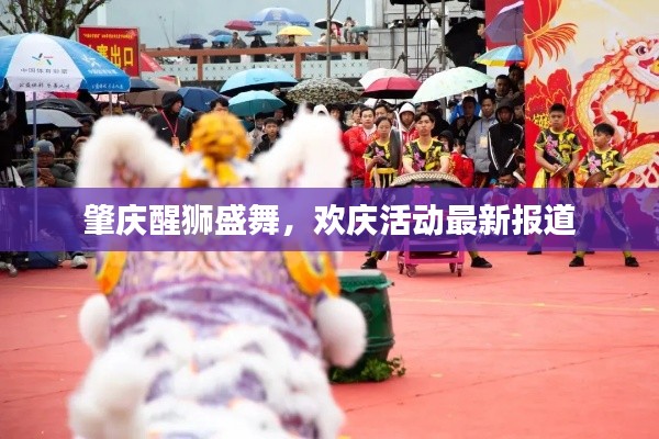 肇慶醒獅盛舞,歡慶活動最新報道