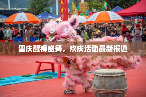 肇慶醒獅盛舞,歡慶活動最新報道