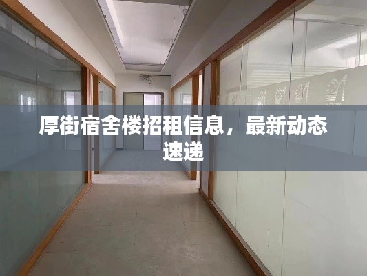 厚街宿舍樓招租信息,最新動態(tài)速遞