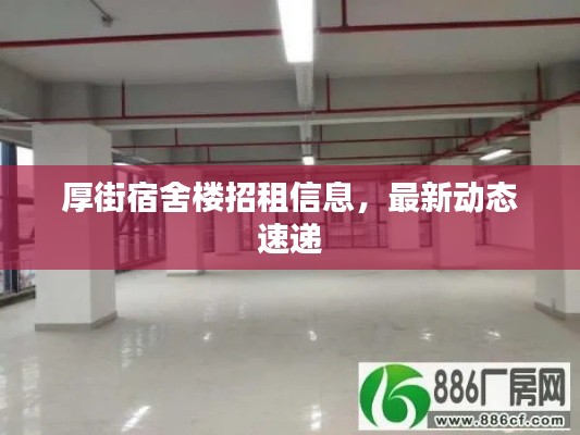 厚街宿舍樓招租信息,最新動態速遞