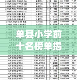單縣小學前十名榜單揭曉,優秀教育資源成就明日之星