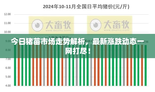 今日豬苗市場走勢解析,最新漲跌動態一網打盡!