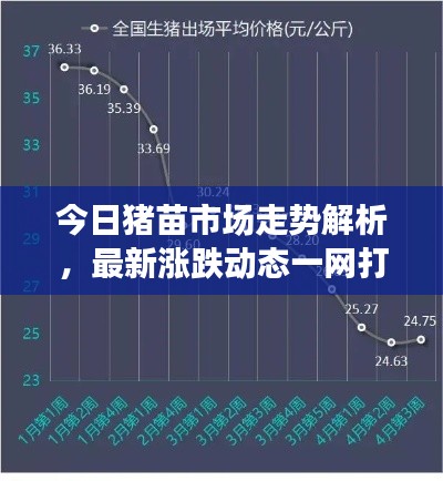 今日豬苗市場走勢解析,最新漲跌動態一網打盡!