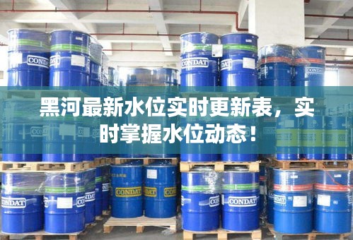 黑河最新水位實時更新表,實時掌握水位動態!