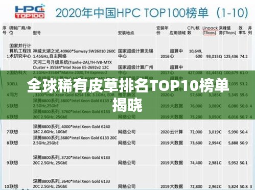 全球稀有皮草排名TOP10榜單揭曉