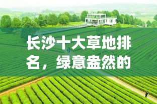 長沙十大草地排名,綠意盎然的城市綠洲盤點