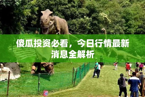 傻瓜投資必看,今日行情最新消息全解析