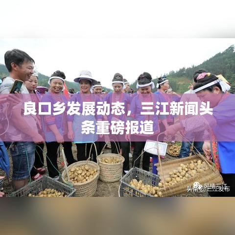 良口鄉(xiāng)發(fā)展動態(tài),三江新聞頭條重磅報道