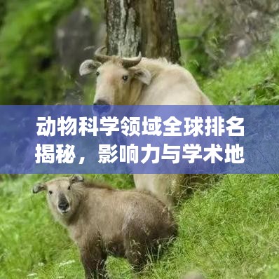 動物科學領域全球排名揭秘,影響力與學術地位重磅評估