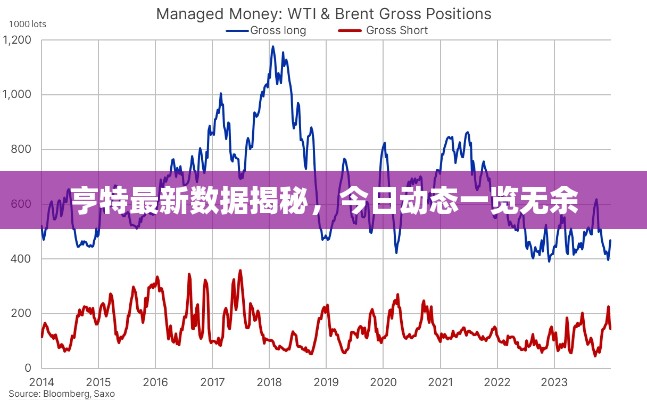 亨特最新數據揭秘,今日動態一覽無余