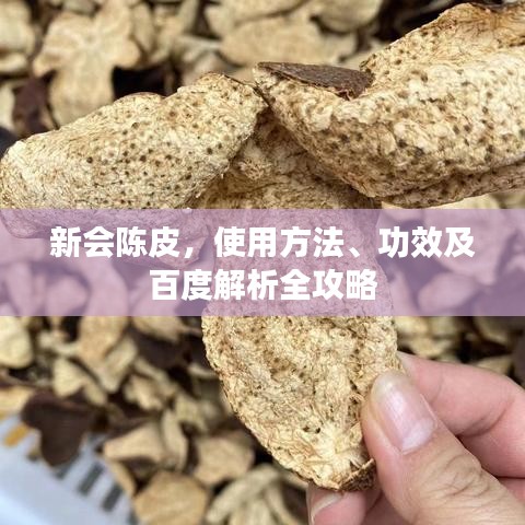 新會陳皮,使用方法、功效及百度解析全攻略
