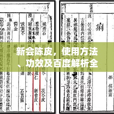 新會陳皮,使用方法、功效及百度解析全攻略