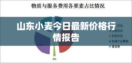 鴻飛雪爪 第4頁