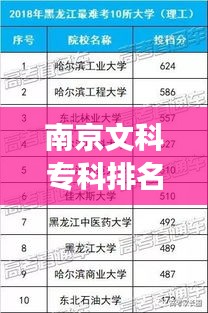 南京文科?？婆琶笆＝颐?，學術明珠的探尋之旅