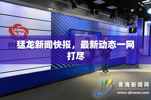 猛龍新聞快報(bào),最新動(dòng)態(tài)一網(wǎng)打盡