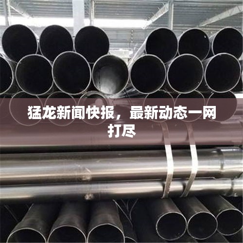 猛龍新聞快報,最新動態一網打盡