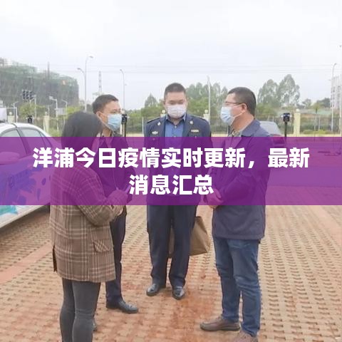 洋浦今日疫情實時更新,最新消息匯總