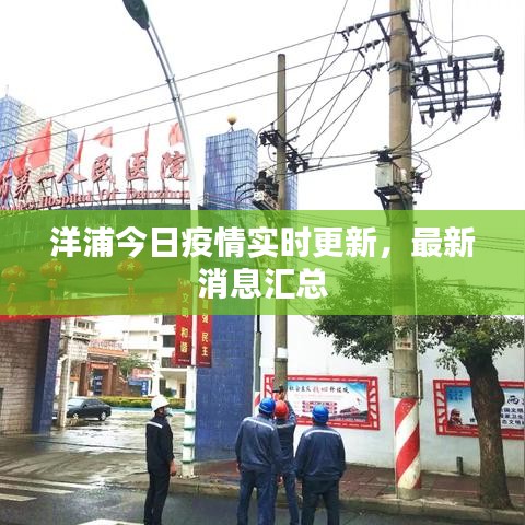 洋浦今日疫情實時更新,最新消息匯總