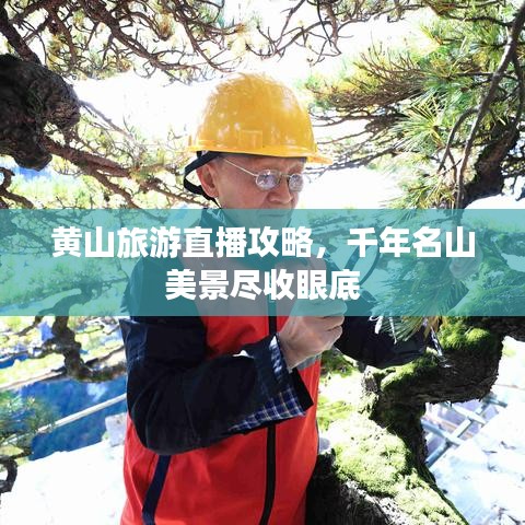 黃山旅游直播攻略,千年名山美景盡收眼底