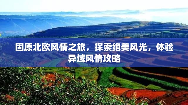 固原北歐風(fēng)情之旅,探索絕美風(fēng)光,體驗異域風(fēng)情攻略