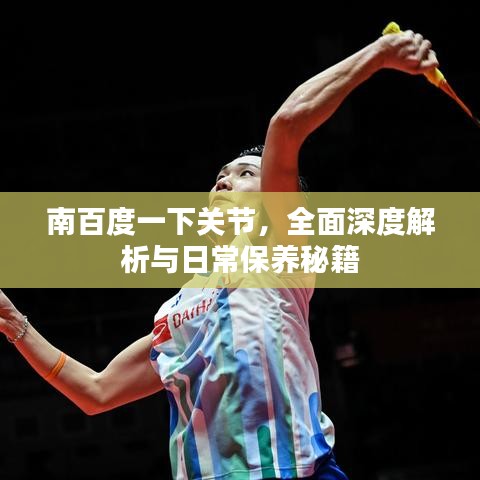 南百度一下關(guān)節(jié),全面深度解析與日常保養(yǎng)秘籍