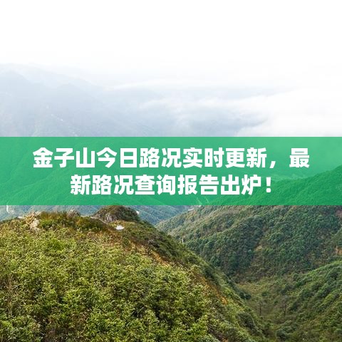 金子山今日路況實時更新,最新路況查詢報告出爐!