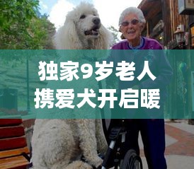 獨家9歲老人攜愛犬開啟暖心旅游攻略,跨齡旅行展現別樣溫情