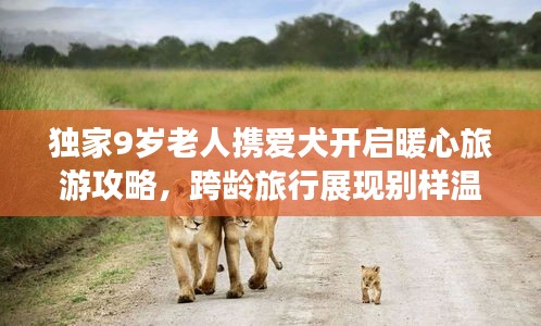 獨(dú)家9歲老人攜愛犬開啟暖心旅游攻略,跨齡旅行展現(xiàn)別樣溫情