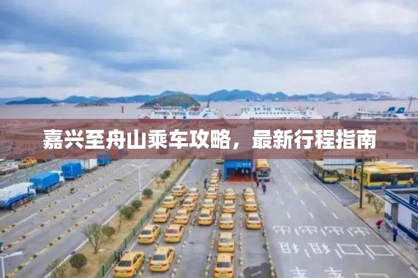 嘉興至舟山乘車攻略,最新行程指南