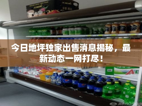 今日地坪獨家出售消息揭秘,最新動態一網打盡!