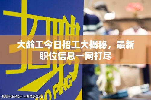 大齡工今日招工大揭秘,最新職位信息一網打盡