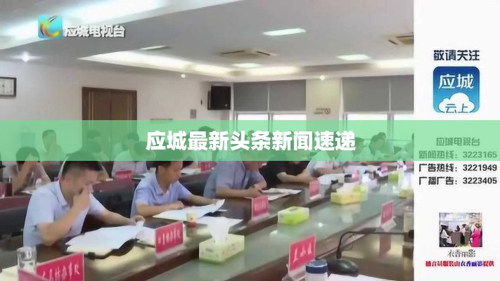 應城最新頭條新聞速遞