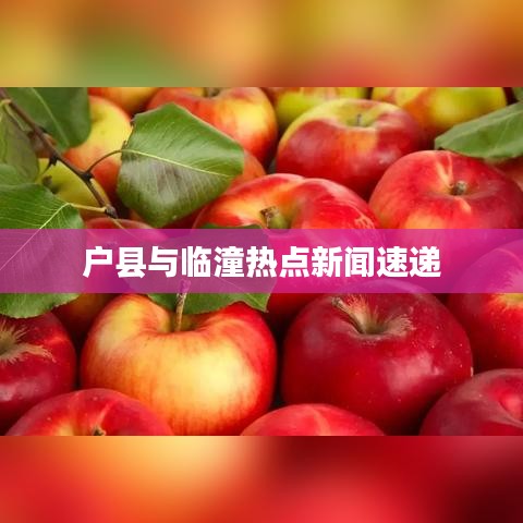 戶縣與臨潼熱點新聞速遞