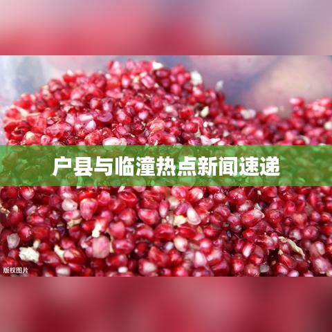 戶縣與臨潼熱點新聞速遞