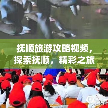 撫順旅游攻略視頻，探索撫順，精彩之旅不容錯過