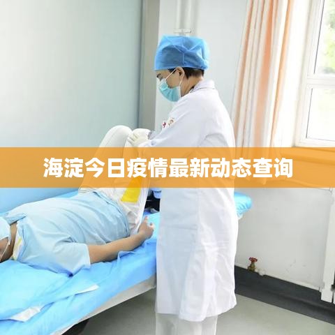 海淀今日疫情最新動態查詢