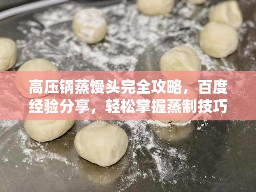 高壓鍋蒸饅頭完全攻略,百度經驗分享,輕松掌握蒸制技巧