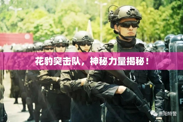 花豹突擊隊,神秘力量揭秘!