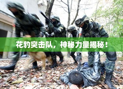 花豹突擊隊,神秘力量揭秘!
