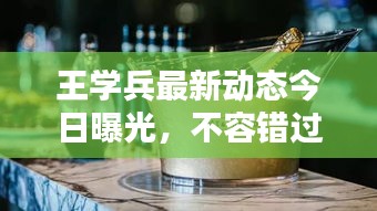 王學兵最新動態今日曝光,不容錯過!