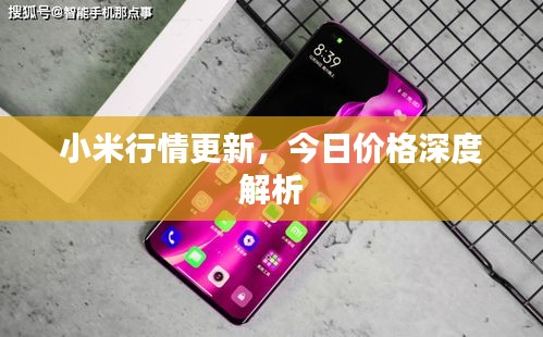 小米行情更新,今日價(jià)格深度解析