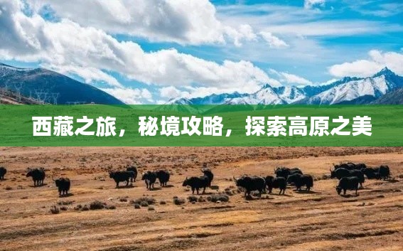 西藏之旅,秘境攻略,探索高原之美