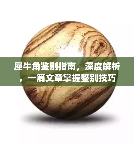 犀牛角鑒別指南，深度解析，一篇文章掌握鑒別技巧