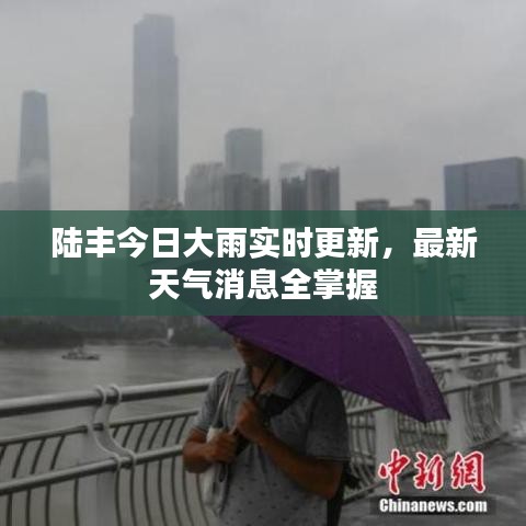陸豐今日大雨實時更新,最新天氣消息全掌握