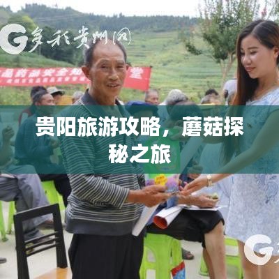 貴陽旅游攻略,蘑菇探秘之旅